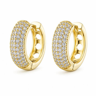 Lavish Shine Huggie Earrings